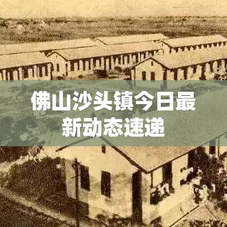 佛山沙頭鎮(zhèn)今日最新動態(tài)速遞