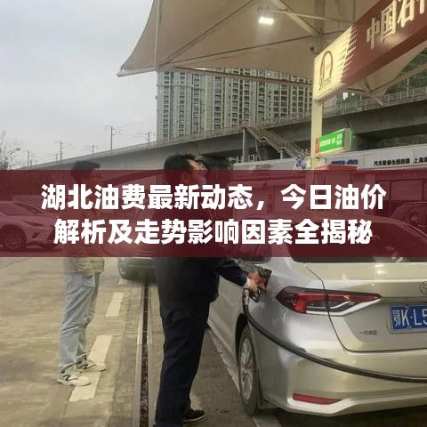 湖北油費(fèi)最新動(dòng)態(tài)，今日油價(jià)解析及走勢(shì)影響因素全揭秘