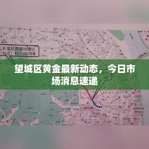 望城區(qū)黃金最新動態(tài)，今日市場消息速遞