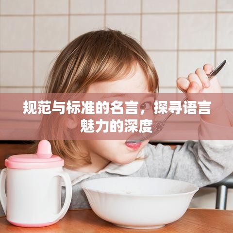 規(guī)范與標(biāo)準(zhǔn)的名言，探尋語言魅力的深度