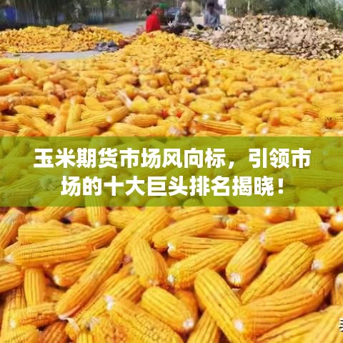 玉米期貨市場(chǎng)風(fēng)向標(biāo)，引領(lǐng)市場(chǎng)的十大巨頭排名揭曉！