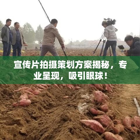 宣傳片拍攝策劃方案揭秘，專業(yè)呈現(xiàn)，吸引眼球！