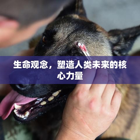 生命觀念，塑造人類未來(lái)的核心力量