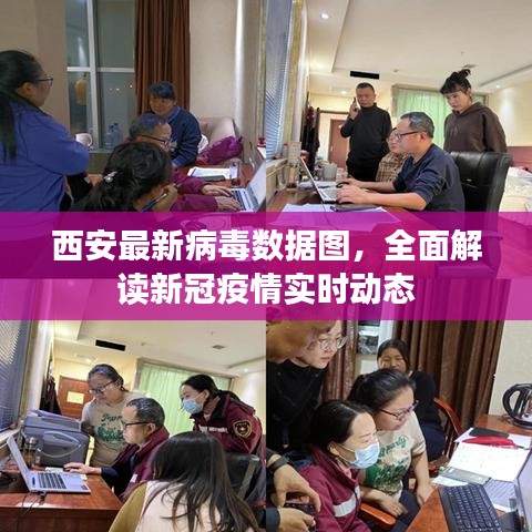 西安最新病毒數(shù)據(jù)圖，全面解讀新冠疫情實時動態(tài)