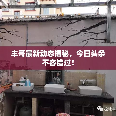 豐哥最新動態(tài)揭秘，今日頭條不容錯過！