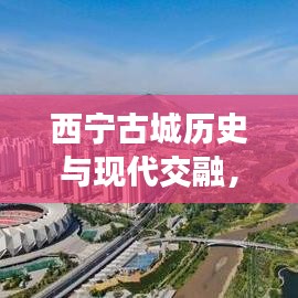 西寧古城歷史與現(xiàn)代交融，頭條新聞直播盛況