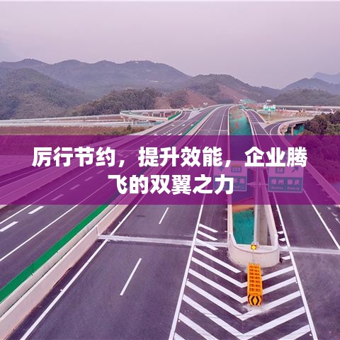 厲行節(jié)約，提升效能，企業(yè)騰飛的雙翼之力