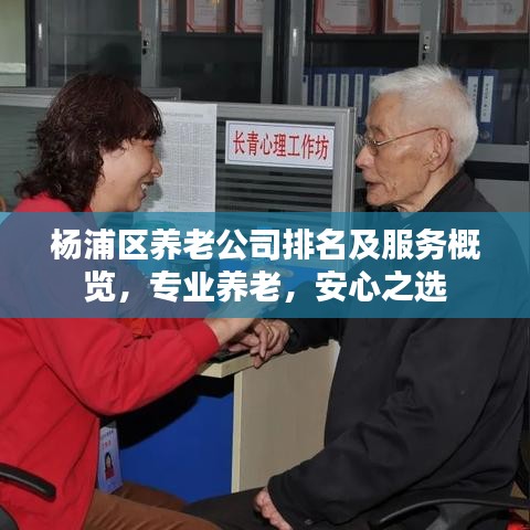 楊浦區(qū)養(yǎng)老公司排名及服務(wù)概覽，專業(yè)養(yǎng)老，安心之選