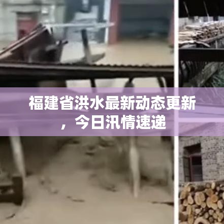福建省洪水最新動(dòng)態(tài)更新，今日汛情速遞