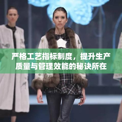 嚴(yán)格工藝指標(biāo)制度，提升生產(chǎn)質(zhì)量與管理效能的秘訣所在