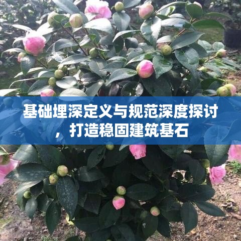 基礎埋深定義與規(guī)范深度探討，打造穩(wěn)固建筑基石