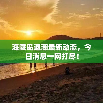 海陵島退潮最新動態(tài)，今日消息一網(wǎng)打盡！