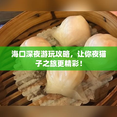 ?？谏钜褂瓮婀ヂ?，讓你夜貓子之旅更精彩！