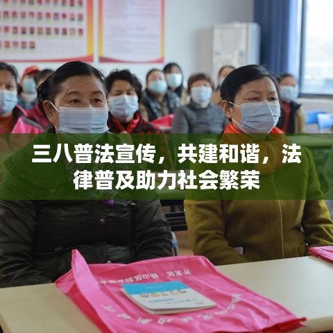 三八普法宣傳，共建和諧，法律普及助力社會繁榮