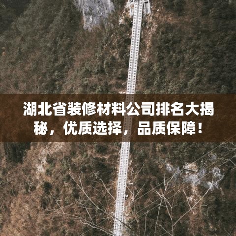 湖北省裝修材料公司排名大揭秘，優(yōu)質(zhì)選擇，品質(zhì)保障！