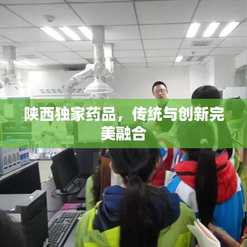 陜西獨家藥品，傳統(tǒng)與創(chuàng)新完美融合