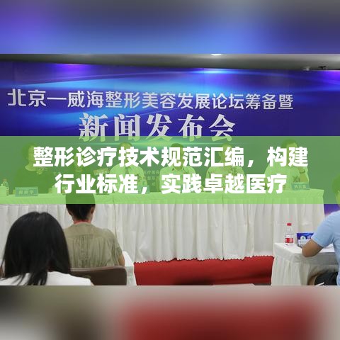 整形診療技術規(guī)范匯編，構(gòu)建行業(yè)標準，實踐卓越醫(yī)療