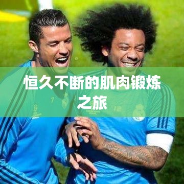 恒久不斷的肌肉鍛煉之旅