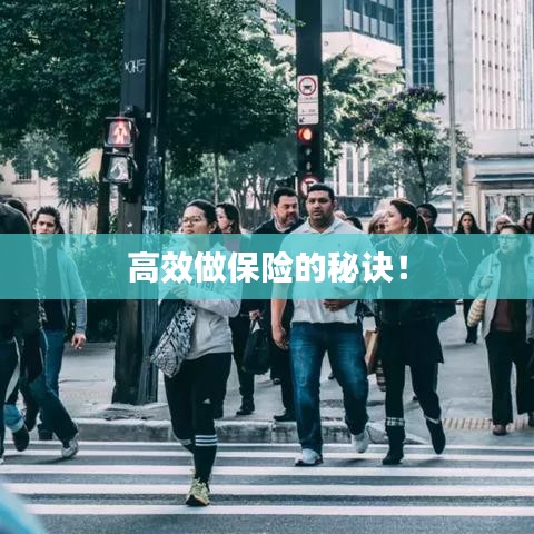 高效做保險(xiǎn)的秘訣！