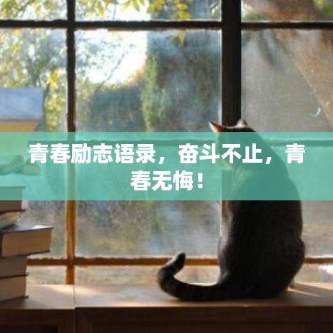 青春勵(lì)志語(yǔ)錄，奮斗不止，青春無(wú)悔！