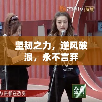 堅韌之力，逆風破浪，永不言棄