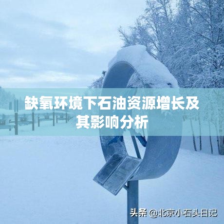 缺氧環(huán)境下石油資源增長(zhǎng)及其影響分析