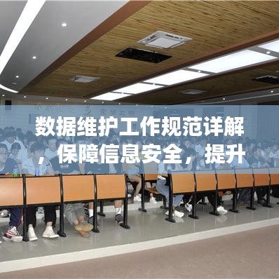 數(shù)據(jù)維護(hù)工作規(guī)范詳解，保障信息安全，提升操作效率