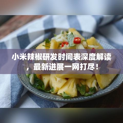 小米辣椒研發(fā)時(shí)間表深度解讀，最新進(jìn)展一網(wǎng)打盡！