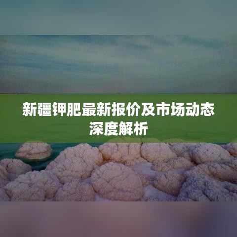 新疆鉀肥最新報(bào)價及市場動態(tài)深度解析