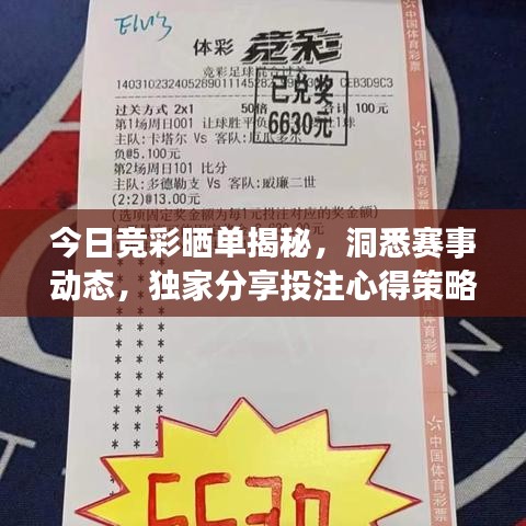 今日競(jìng)彩曬單揭秘，洞悉賽事動(dòng)態(tài)，獨(dú)家分享投注心得策略