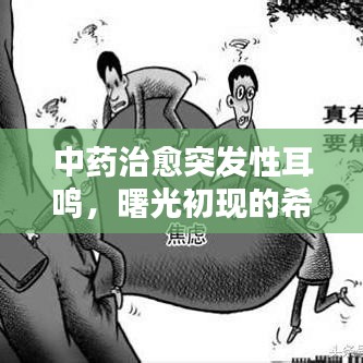 中藥治愈突發(fā)性耳鳴，曙光初現(xiàn)的希望之路