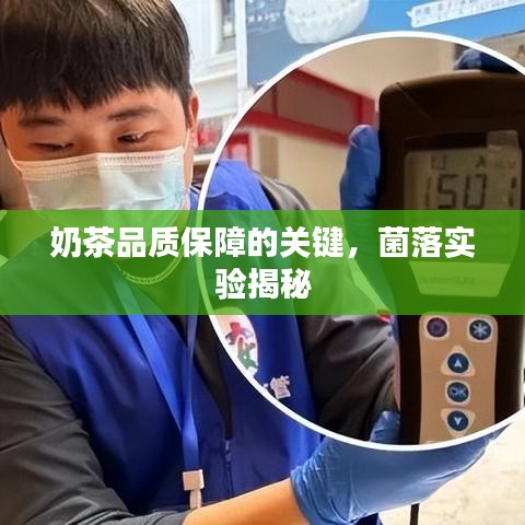 奶茶品質(zhì)保障的關(guān)鍵，菌落實(shí)驗(yàn)揭秘