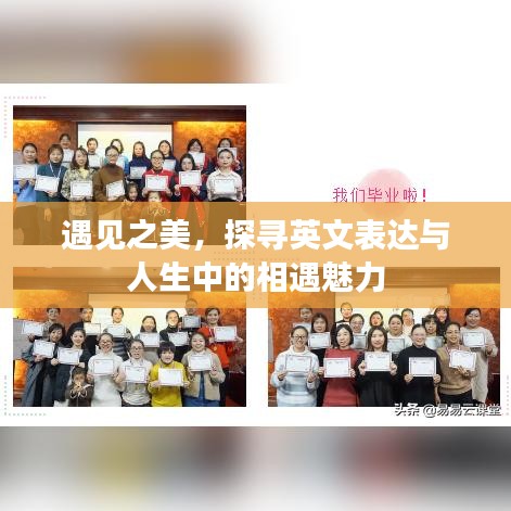 遇見(jiàn)之美，探尋英文表達(dá)與人生中的相遇魅力