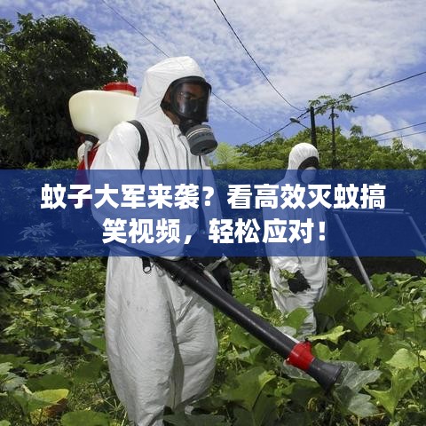 蚊子大軍來(lái)襲？看高效滅蚊搞笑視頻，輕松應(yīng)對(duì)！