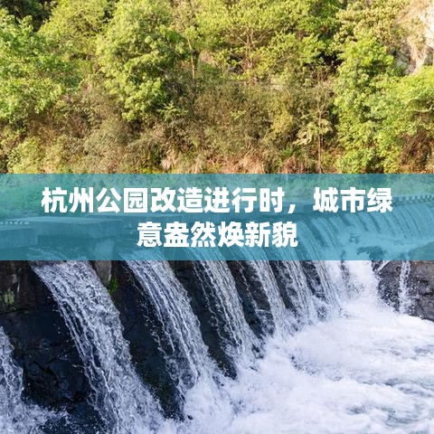 杭州公園改造進(jìn)行時(shí)，城市綠意盎然煥新貌
