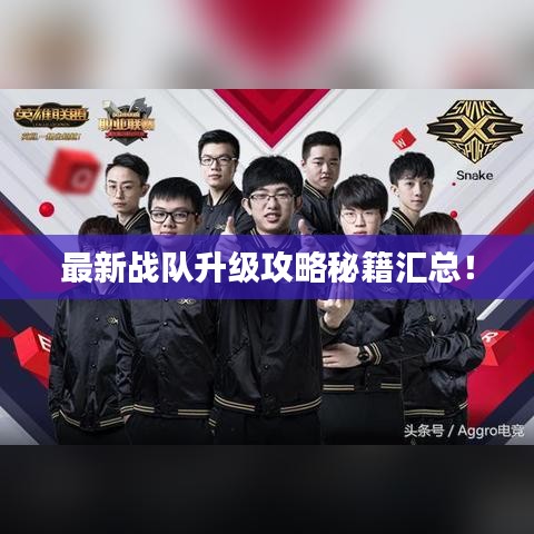 最新戰(zhàn)隊(duì)升級(jí)攻略秘籍匯總！