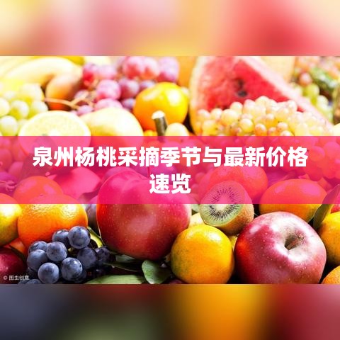 泉州楊桃采摘季節(jié)與最新價(jià)格速覽