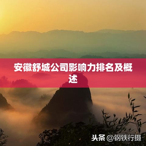 安徽舒城公司影響力排名及概述