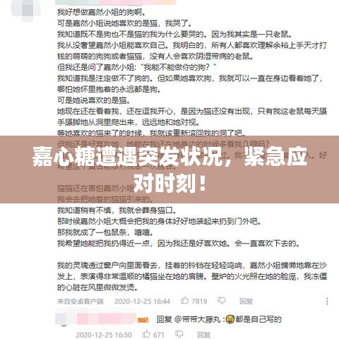 嘉心糖遭遇突發(fā)狀況，緊急應對時刻！