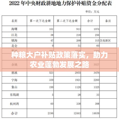 種糧大戶補貼政策落實，助力農(nóng)業(yè)蓬勃發(fā)展之路