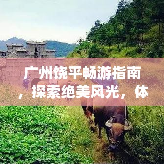 廣州饒平暢游指南，探索絕美風(fēng)光，體驗(yàn)獨(dú)特風(fēng)情！