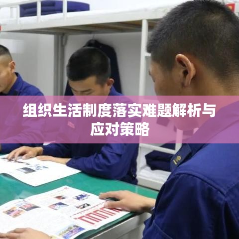 組織生活制度落實難題解析與應(yīng)對策略