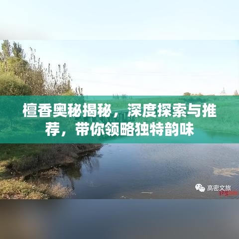 檀香奧秘揭秘，深度探索與推薦，帶你領(lǐng)略獨(dú)特韻味
