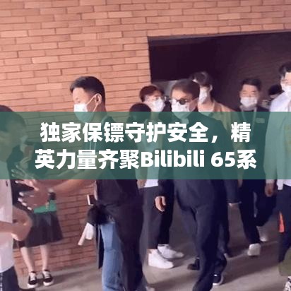 獨家保鏢守護安全，精英力量齊聚Bilibili 65系列