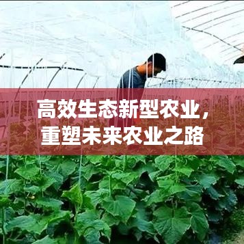 高效生態(tài)新型農(nóng)業(yè)，重塑未來農(nóng)業(yè)之路