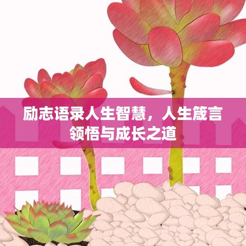 勵(lì)志語(yǔ)錄人生智慧，人生箴言領(lǐng)悟與成長(zhǎng)之道