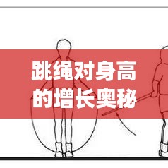 跳繩對(duì)身高的增長(zhǎng)奧秘，科學(xué)運(yùn)動(dòng)助力身高飛躍發(fā)展！