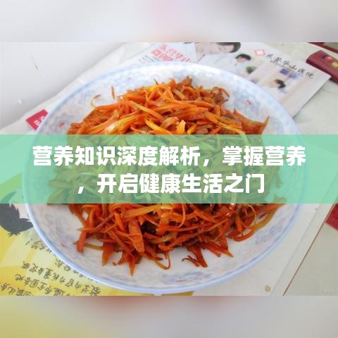 營(yíng)養(yǎng)知識(shí)深度解析，掌握營(yíng)養(yǎng)，開(kāi)啟健康生活之門(mén)