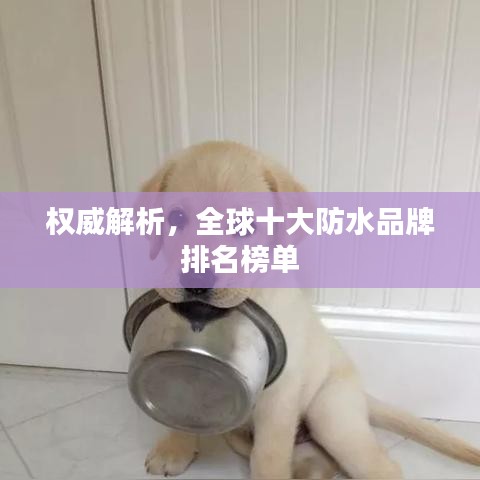 權(quán)威解析，全球十大防水品牌排名榜單