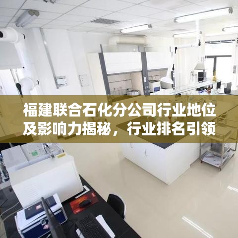 福建聯(lián)合石化分公司行業(yè)地位及影響力揭秘，行業(yè)排名引領(lǐng)石化風(fēng)潮